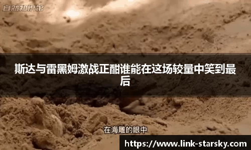 星空体育官网