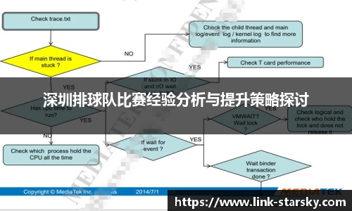 深圳排球队比赛经验分析与提升策略探讨