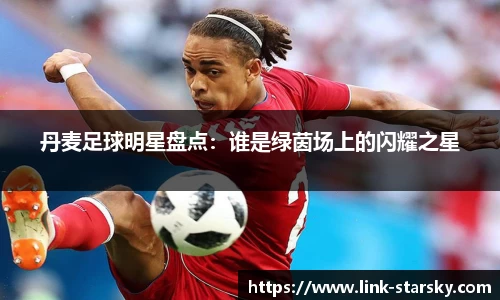 丹麦足球明星盘点：谁是绿茵场上的闪耀之星