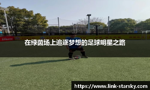 星空体育官网入口